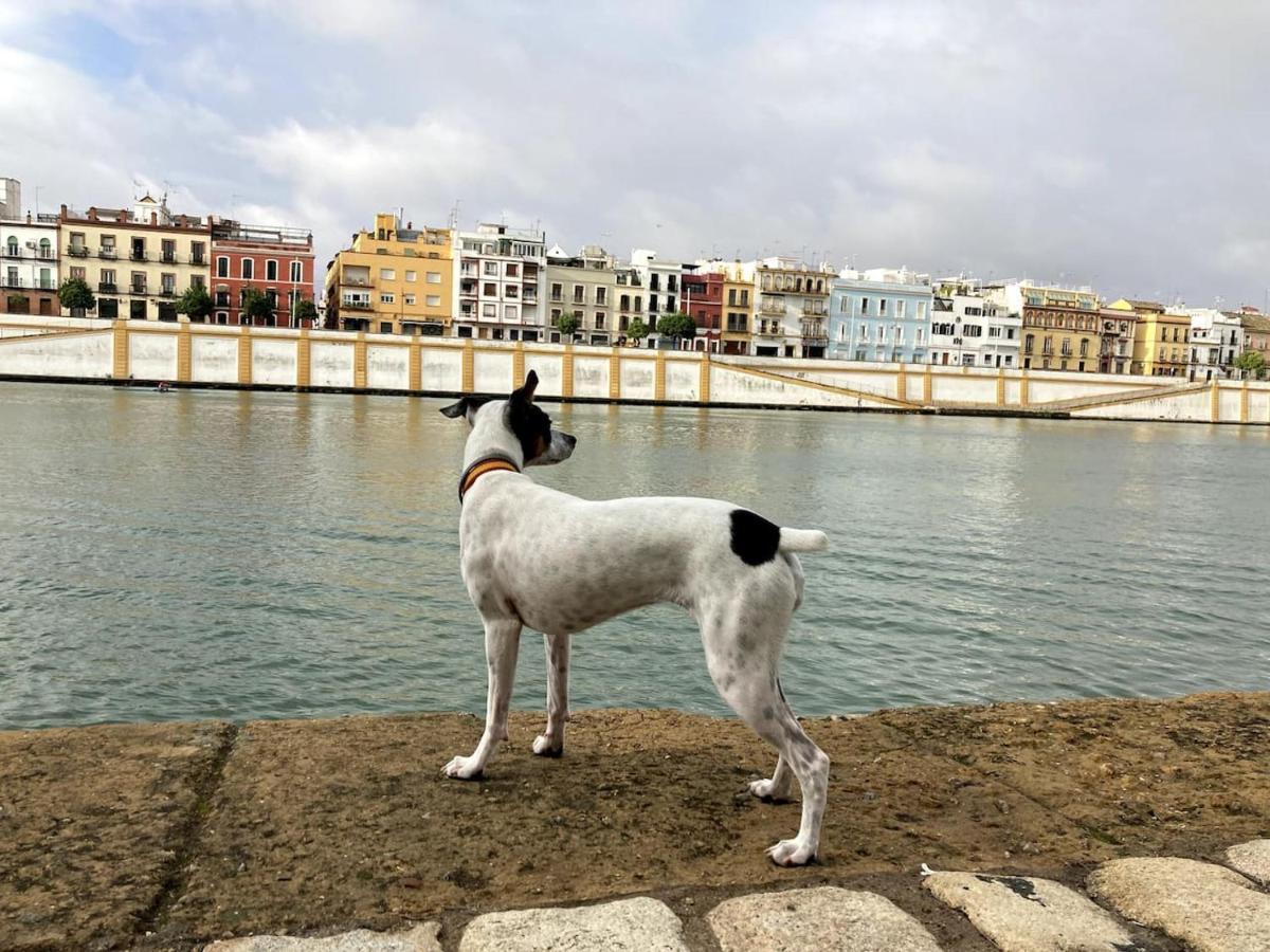 Mara Arenal Sevilla Buitenkant foto